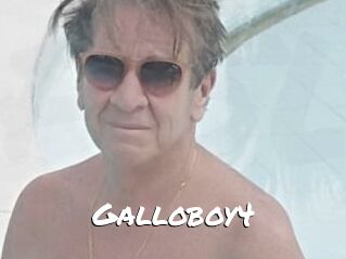 Galloboy4