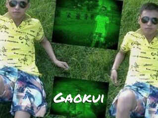 Gaokui