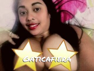 Gaticafiera