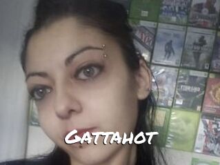 Gattahot