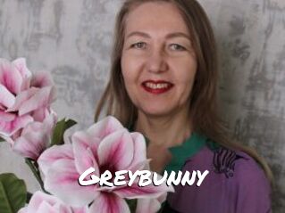 Greybunny