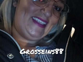 Grosseins88