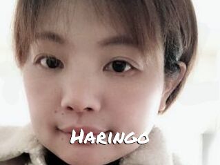 Haringo