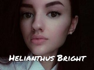 Helianthus_Bright