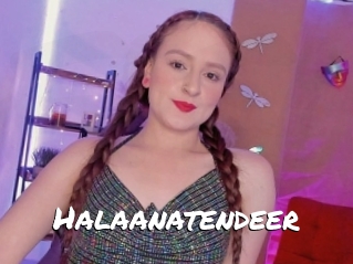 Halaanatendeer