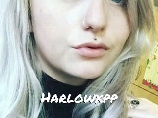 Harlowxpp