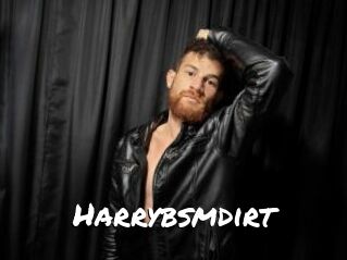 Harrybsmdirt