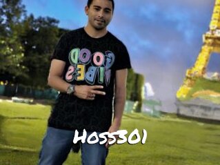 Hoss301