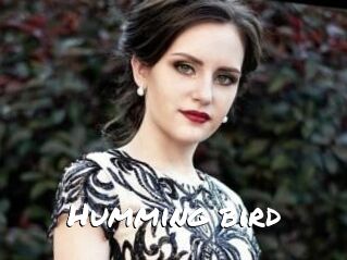 Humming_bird
