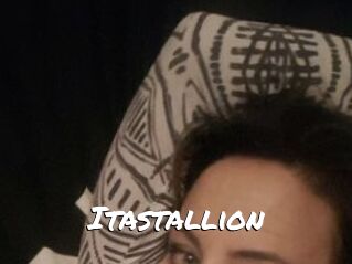 Itastallion