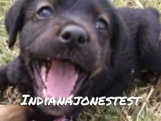 Indianajonestest