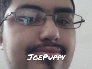 JoePuppy