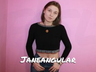Janeangular