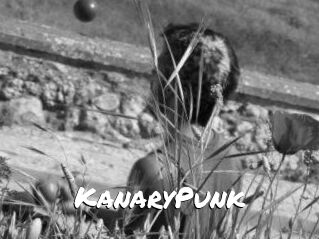 KanaryPunk