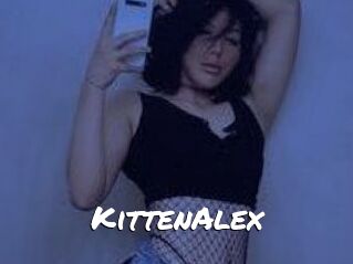 KittenAlex