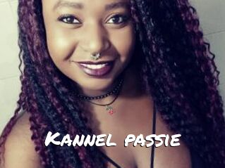 Kannel_passie