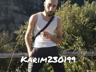 Karim230199