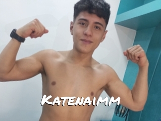 Katenaimm