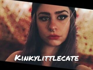 Kinkylittlecate