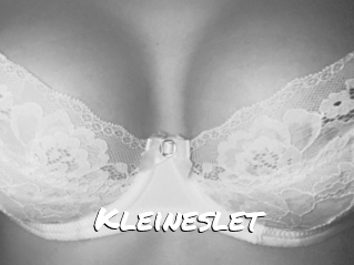 Kleineslet