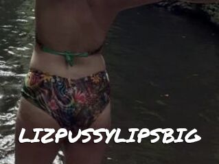 LIZPUSSYLIPSBIG