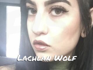 Lachlan_Wolf