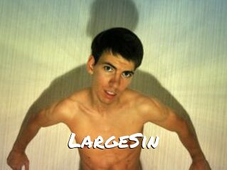 LargeSin