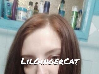 LilGingerCat