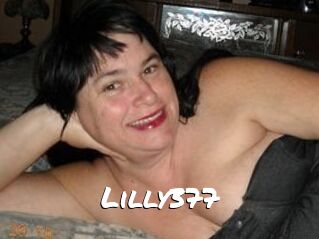Lilly377