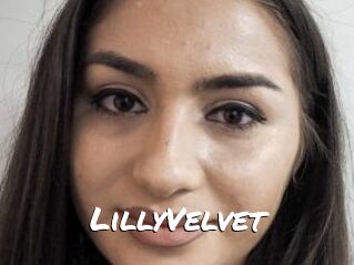 LillyVelvet
