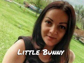 Little_Bunny_