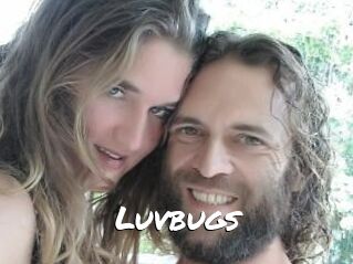 Luvbugs