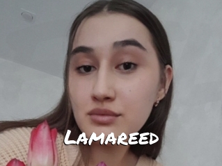 Lamareed