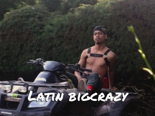 Latin_bigcrazy