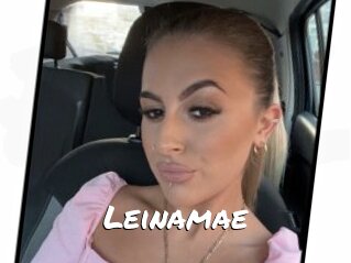 Leinamae