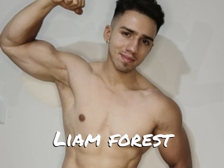 Liam_forest