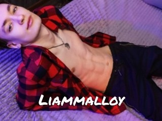 Liammalloy