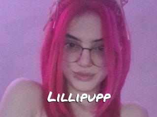 Lillipupp