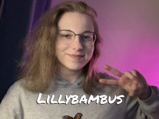 Lillybambus
