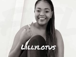 Lillylotus