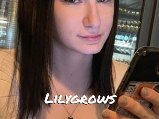 Lilygrows
