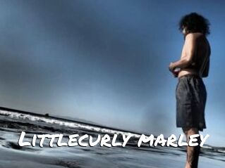 Littlecurly_marley