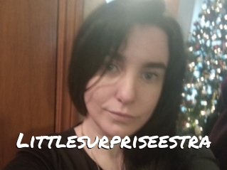 Littlesurpriseestra