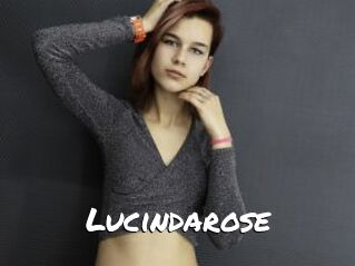 Lucindarose
