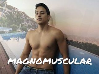MAGNOMUSCULAR