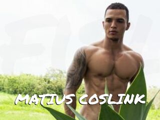 MATIUS_COSLINK
