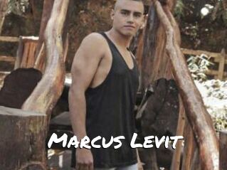 Marcus_Levit