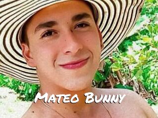 Mateo_Bunny