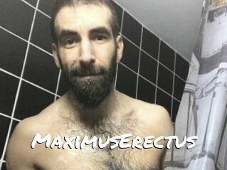 MaximusErectus