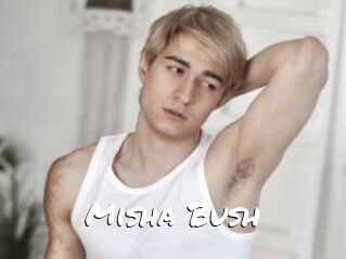 Misha_Bush